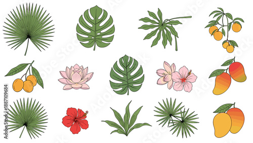 Set of tropical flora and fruit featuring palm leaves, hibiscus flowers, lotus blossoms, ripe mangoes, and sweet oranges.