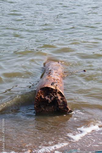 A log is floating in the water