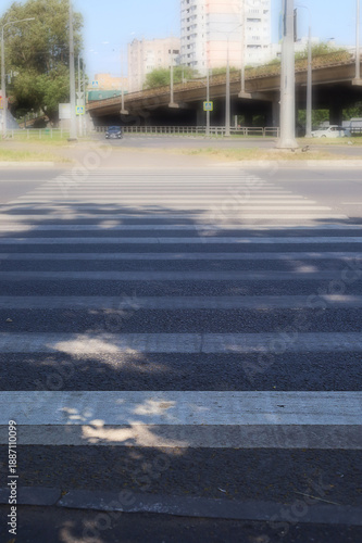 A street with a crosswalk and a tree in the