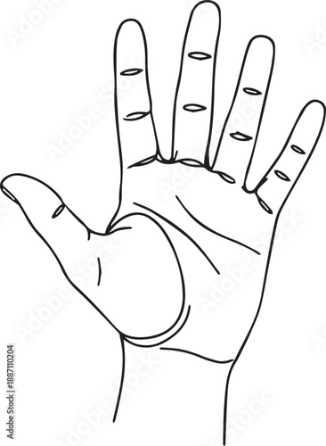 A simple sketch of an open human hand with visible finger and palm details