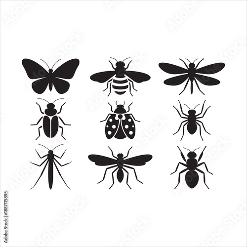 Insects collection butterfly bee ladybug ant mosquito dragonfly vector icons
