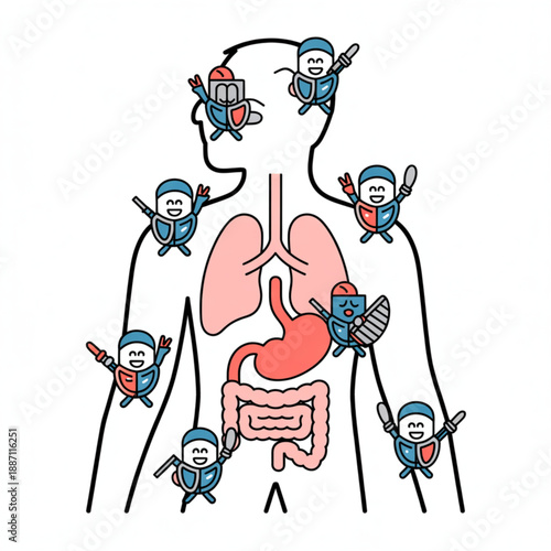 Immune System Cells Protecting Human Body Organs Cartoon Illustration