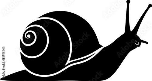 Snail vector black silhouette cricut design for T-Shirt
