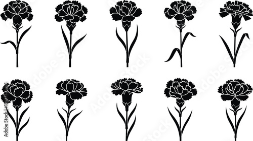 Carnation Silhouette Collection Featuring Ten Unique Floral Designs with Varied Petal and Stem Arrangements for Botanical Art Use