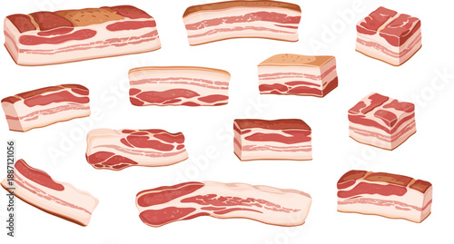 Raw bacon meat illustration set featuring sliced pork belly cuts, fresh uncooked strips, and butcher food ingredients in flat vector style