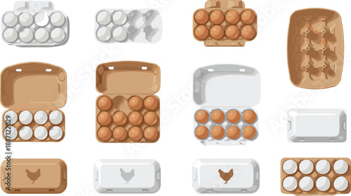 Egg carton packaging illustration set showing paper and plastic trays, open and closed containers, and fresh eggs in flat vector style