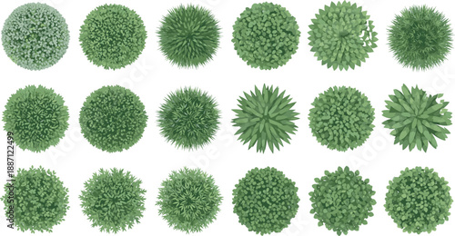Set of Green Shrub and Bush Top View Icons Isolated on White Background for Landscape Architecture Plan, Garden Map Design, and Aerial Nature Illustration