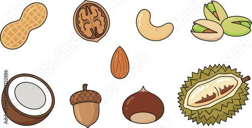 Hand-Drawn Assorted Nuts Illustration Set Featuring Walnut, Peanut, Coconut and Durian