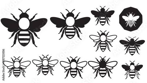 Collection of various detailed black and white bee illustrations