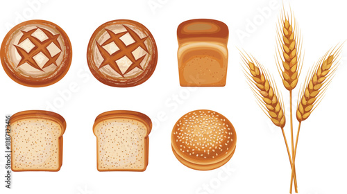 Bread and wheat illustration set. Bakery products including loaves, slices and buns. Fresh food concept. Flat cartoon vector illustration.
