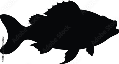 Bass fish silhouette, jumping bass vector, freshwater fish art, fishing icon, aquatic animal graphic