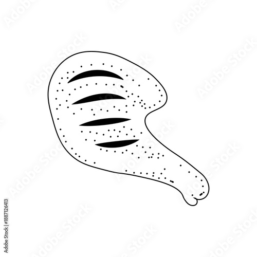 Minimalist black and white outline illustration of a delectable roasted poultry snack, perfect for menus, food-related designs, or culinary themes representing popular dishes