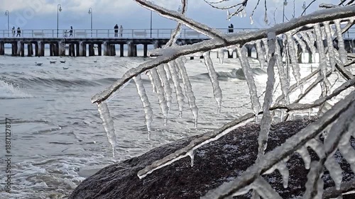 Close-up video of frozen icicles hanging from a tree branch with a sea in the background  