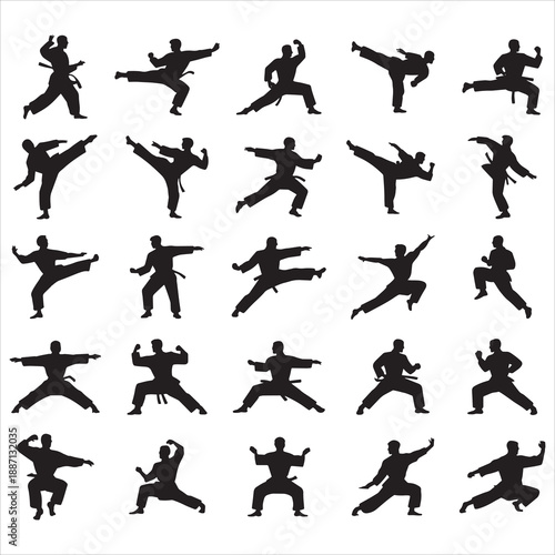 Kung Fu Martial Art Silhouette