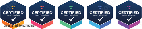 Set of 5 Colorful 'CERTIFIED Team Collaboration' Hexagonal Vector Badges with Checkmarks.