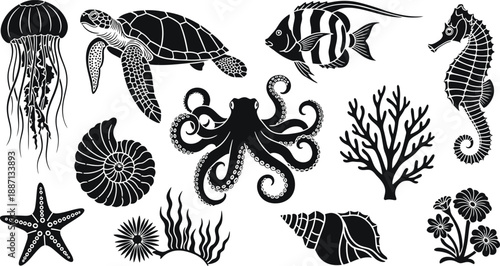 Diverse ocean creatures and sea plants collection