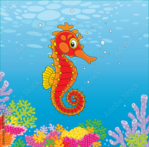 Cartoony exotic seahorse swimming among wonderful corals of a colorful reef in a tropical sea, vector cartoon illustration