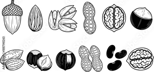 Black and white nut icons, almond, walnut, peanut, coconut, pistachio, hazelnut, vector seed set, healthy snack illustration, culinary design