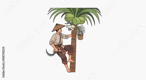 farmers climbing coconut trees to harvest palm sap 