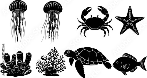 Marine life silhouettes, black and white ocean animals, jellyfish, crab, starfish, coral reef, sea turtle, underwater illustration, aquatic vector art
