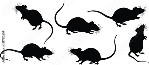 Set of six black rat silhouettes showing running and standing poses isolated on white background for pest control and nature design vector illustration