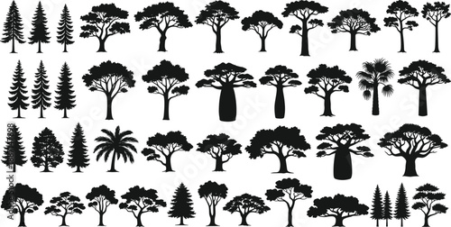 Large collection of diverse black tree silhouettes including pine palm and baobab isolated on white background for nature landscape design vector illustration set