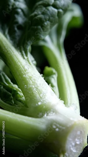 Dynamic Macro Shot Of Fresh Green Vegetable Stem Adorned With Glistening Frosty Details