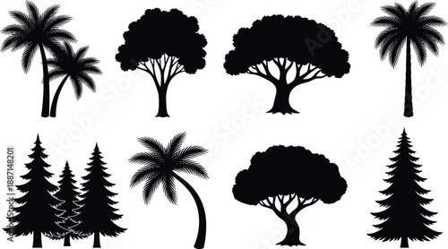 Collection of diverse black tree silhouettes including tropical palm coniferous pine and deciduous oak isolated on white background for nature landscape design vector illustration