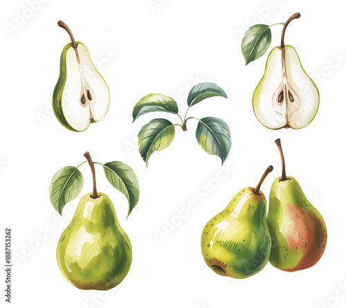 Juicy pears with green leaves, showcasing seasonal harvest in traditional watercolor painting.