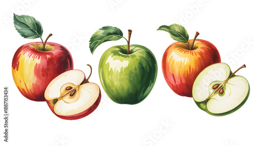 Red and green apples with sliced halves and leaves, painted in natural hand-painted watercolor.