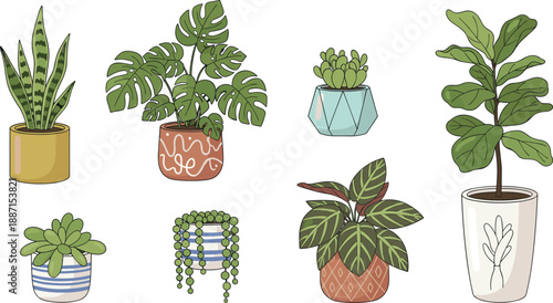 Hand-Drawn Indoor Potted Houseplants Illustration Set Featuring Decorative Greenery and Modern Planters