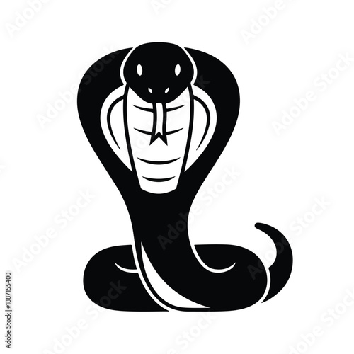 Black cobra snake raising head and body isolated on white background