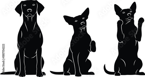 Black silhouettes of three dogs sitting and begging on white background, group of domestic pets in different poses, animal training and canine friendship concept.