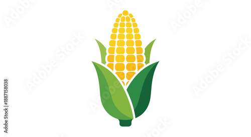 Fresh Yellow Corn Image: A Delicious Healthy Food Symbol on a White Background