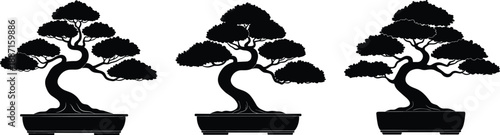 Bonsai tree silhouettes in pots, Japanese miniature landscape art concept, elegant black vector illustration set isolated on white background
