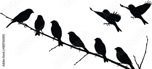 Bird silhouette illustration, black vector design, perched birds on branch, flying pose, twig in beak, nature concept, minimal art, wildlife theme