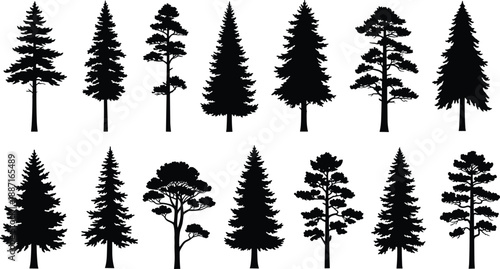 Tree silhouettes, forest icons, conifer shapes, deciduous canopy, botanical design, nature vector, foliage pattern, landscape element, black trees, plant illustration