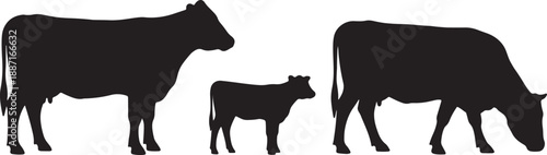 Three black silhouette cows standing in a row with a smaller calf in the middle also transparent background