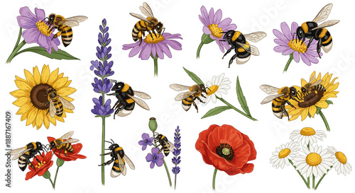 Collection of various colorful flowers with bees