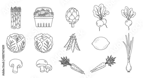 Collection of handdrawn vegetable illustrations for culinary design