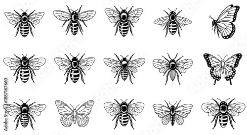 Collection of various bee and butterfly illustrations in black
