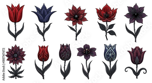 Collection of colorful tulips in various shades and shapes