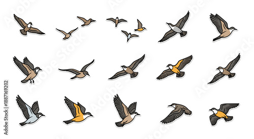 Collection of flying birds in various positions and angles