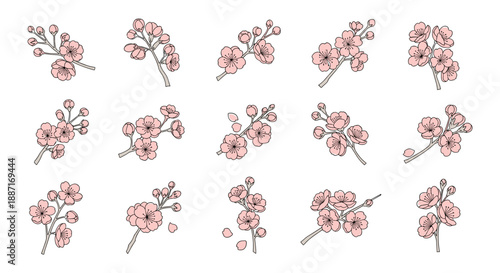Collection of pink cherry blossom flowers in various arrangements
