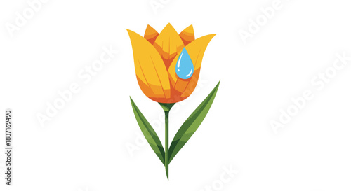 Colorful tulip flower with water droplet petals and green leaves