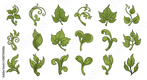 Collection of green leafy and vine illustrations for design projects