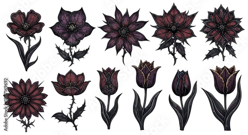 Collection of dark purple and black flowers with detailed petals