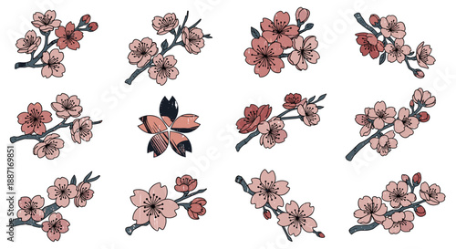 Collection of cherry blossom flowers and branches in pink and brown