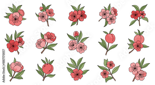 Collection of pink and red camellia flowers with green leaves