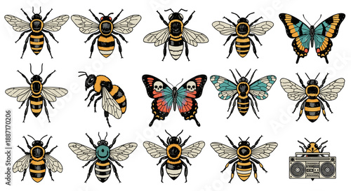 Collection of various bees and butterfly insects